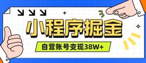 微信小程序掘金,团队自营小程序累计变现38W+,稳定运营三年,一部手机即可操作【揭秘】-21资源库