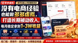 没有电商经验也能做多多虚拟,打造长期被动收入,每月稳定拿到1-3W收益【揭秘】-21资源库