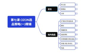 2026最新OZON全流程运营实操跨境电商平台教程,OZON全流程一站式系统学习必修课,从开店到跟卖到精铺-21资源库