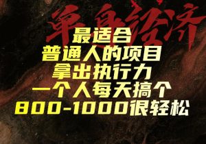 最适合普通人的项目,拿出执行力一个人每天搞个800-1k很轻松【揭秘】-21资源库