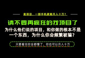 为什么做项目的人大多都是炮灰?为什么只有卖项目才能稳?看完你也可以月入10W+【揭秘】-21资源库