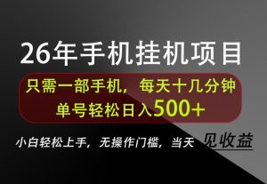 长期稳定可做,只需一部手机!单号轻松日入500+,不搞套路,只讲干货!【揭秘】-21资源库