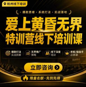 爱上黄昏无界特训营AI推广实战7月27-30杭州线下课,AI落地淘宝最完整的课程,学天猫淘宝的老板必看-21资源库