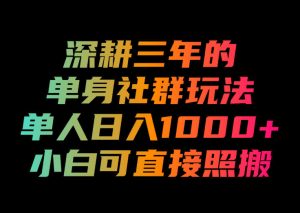 深耕三年的单身社群玩法，单人日入1000+，小白可直接照搬！【揭秘】-21资源库