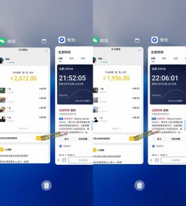 小众蓝海赛道，单身经济，每天稳定1000+，新手友好、门槛极低【揭秘】-21资源库