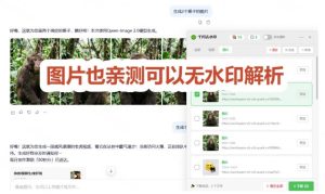太香了!这款千问视频/图片去水印神器,一键搞定烦人水印,本地完全免费,浏览器拓展插件-21资源库