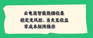 云电商智能数据收集,稳定无风控,当天做当天见收益,零成本矩阵操作【揭秘】-21资源库