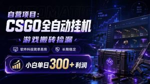 自营项目：CSGO全自动挂G，游戏搬砖捡漏，软件科技简单易用，长期稳定，小白单日300+利润【揭秘】-21资源库