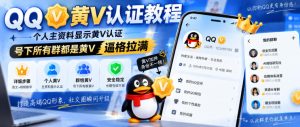 QQ黄V认证教程,个人主资料显示黄V认证,号下所有群都是黄V,逼格拉满-21资源库